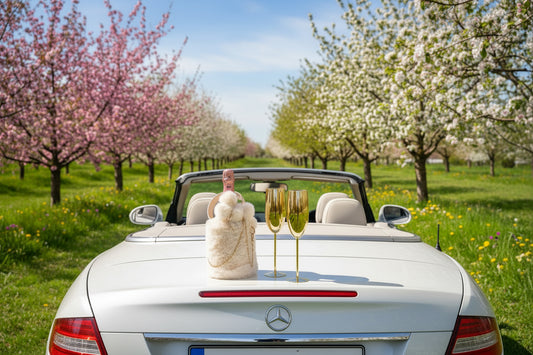 (Moet & Chandon Rosé with Fury Bag White und 2 Edelstahl Flut in Gold